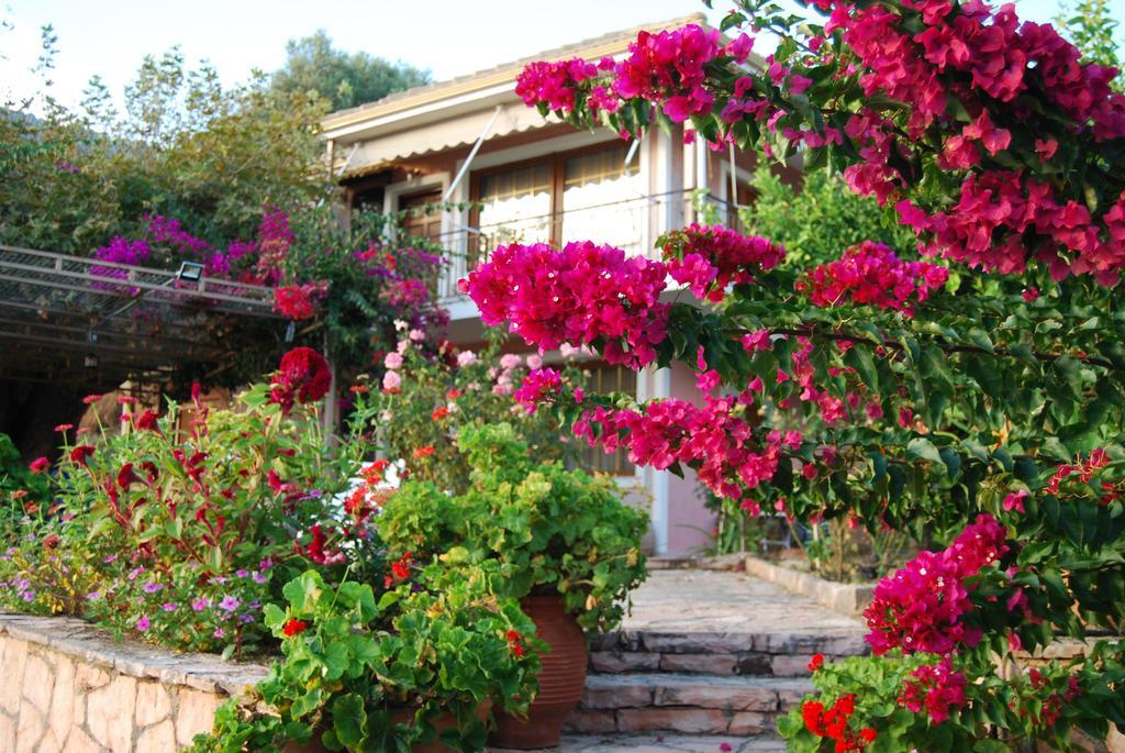 Villa Niki Plataria Esterno foto