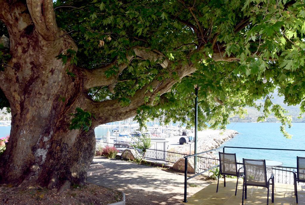 Villa Niki Plataria Esterno foto